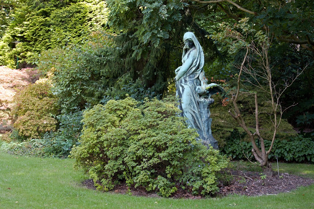 Plantentuin Meise belgie plantentuin kasteel van Bouchout Nymphaea nenuphar Waterlelie kas serre plantenkas hdr botanische tuin